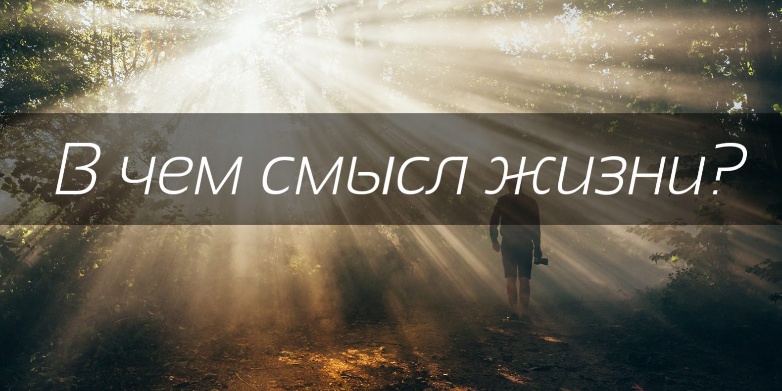 В чем смысл жизни? | Магический портал