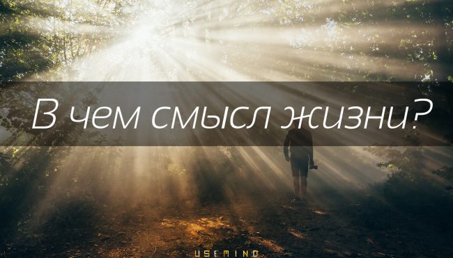 смысл жизни
