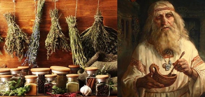 целители